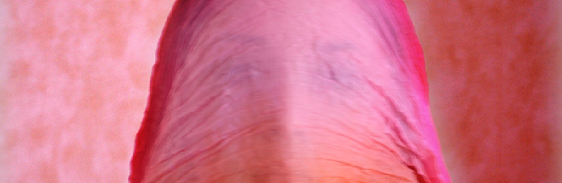 Visage d'une femme à moitié caché par un voile fin rose et orange