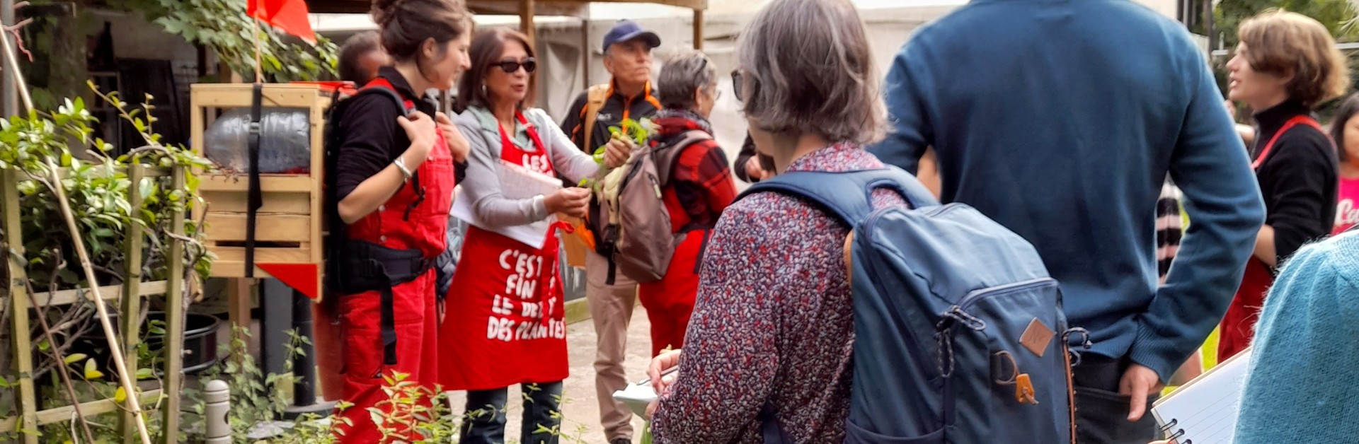 Groupe en promenade à déguster, écoutant les explications de cueilleuses