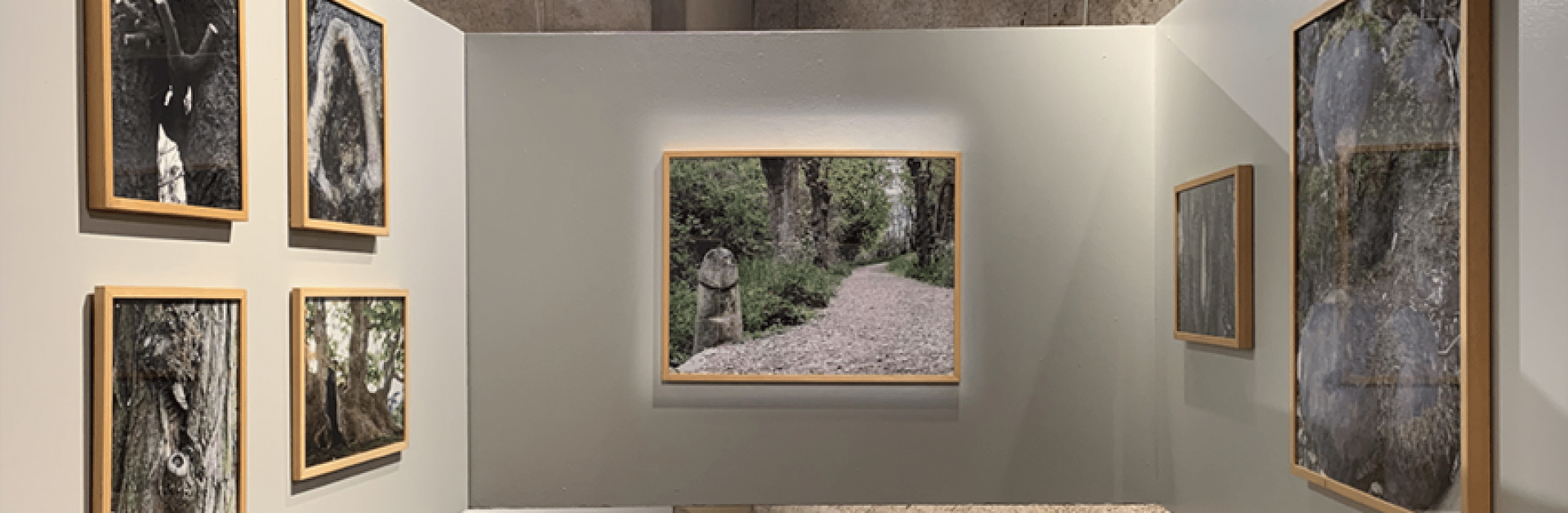 3 pans de mur avec des tableaux divers de paysages