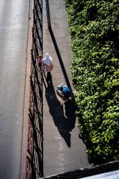 Vue aérienne de l'artiste Malo Patron écrivant sur un trottoir ses textes sur la Bièvre - Enlarge image, modal window
