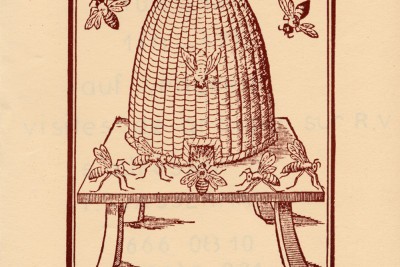 Agrandir l'image 1 sur 66, fenêtre modale