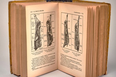 Agrandir l'image 2 sur 5, fenêtre modale