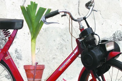 Agrandir l'image 42 sur 66, fenêtre modale