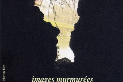 Agrandir l'image 1 sur 49, fenêtre modale