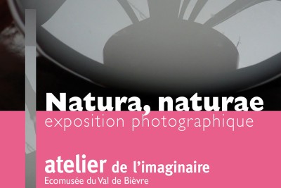 Agrandir l'image 2 sur 49, fenêtre modale