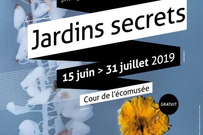 Agrandir l'image 36 sur 49, fenêtre modale