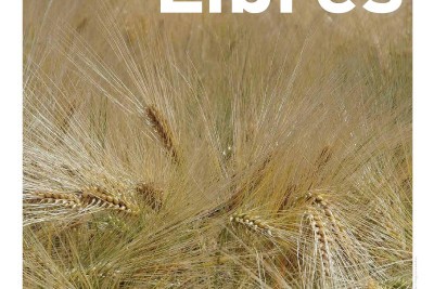 Agrandir l'image 41 sur 49, fenêtre modale