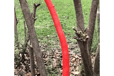 Agrandir l'image 2 sur 14, fenêtre modale