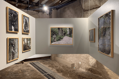 Agrandir l'image 14 sur 14, fenêtre modale