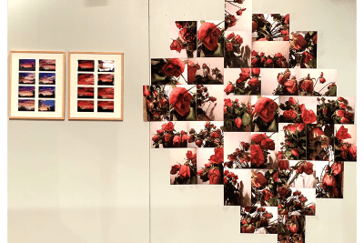 Agrandir l'image 13 sur 14, fenêtre modale