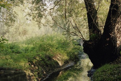 Paysage de banlieue - Agrandir l'image 2 sur 14, fenêtre modale