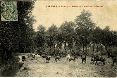 Chevaux courant dans une prairie des bords de la Bièvre, à Fresnes - Agrandir l'image 19 sur 24, fenêtre modale