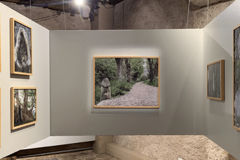 3 pans de mur avec des tableaux divers de paysages